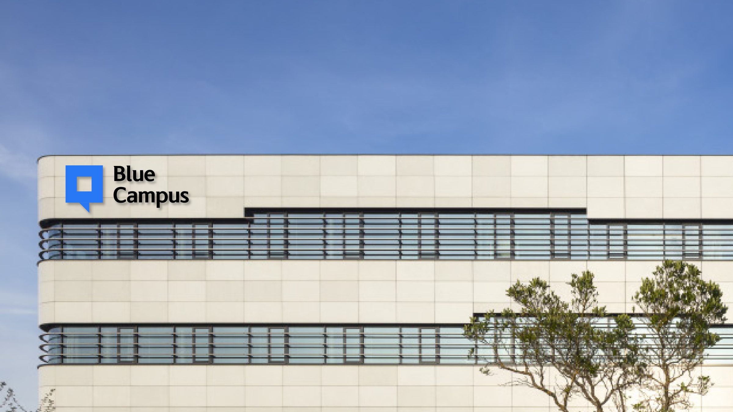 신한은행 — Blue Campus